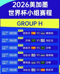 球场与球迷欢呼场景